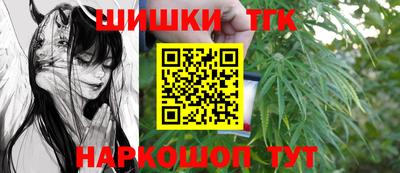 МДПВ Новокубанск