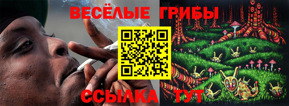 купить  сайты  Псилоцибиновые грибы ЛСД  Вход с VPN  Галлюциногенные грибы MAGIC MUSHROOMS  Армавир 